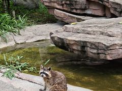 -泉州海丝野生动物世界