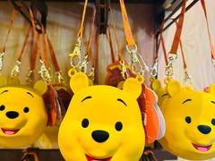 -小熊维尼历险之旅