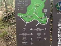 -上海佘山国家森林公园天马山园