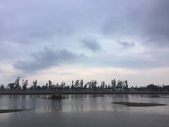 -龙舟池