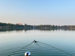 -北京麋鹿生态实验中心