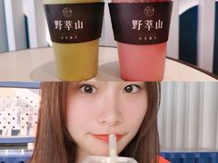 -野萃山·潮汕厚果汁(十亩地店)