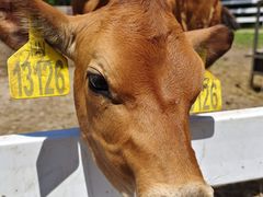 -哈尔滨北方森林动物园