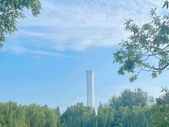 -团结湖公园