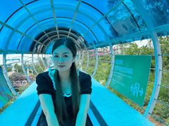 -盈香心动乐园