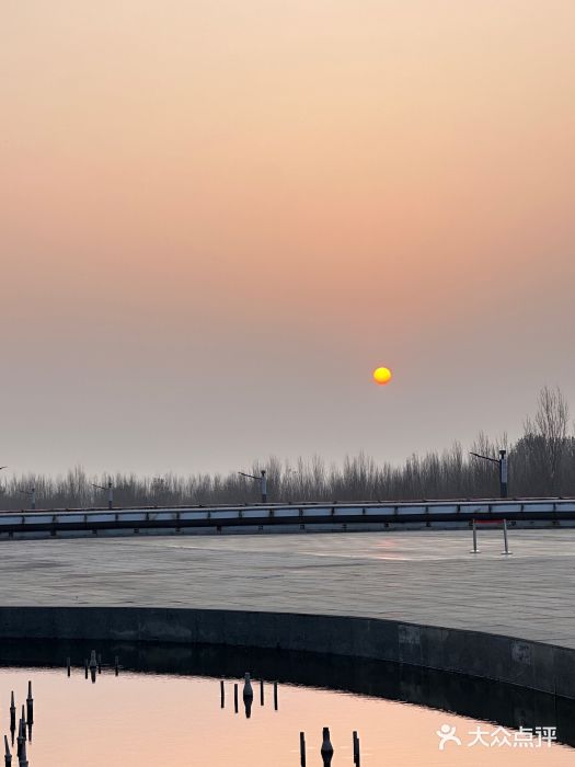 沈阳植物园图片