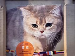 -方浜中路45弄小区