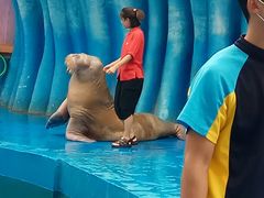 -华夏文旅海洋公园