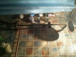 android_upload_pic-克丽缇娜