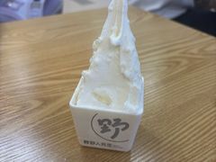 -野人先生Gelato(上海长宁龙之梦店)