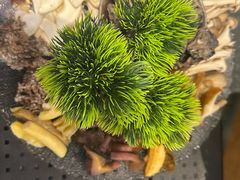 -一善菌·云南菌汤·云南菜(银泰城店)