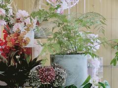 -蝶舍·MAISON PAPILLON