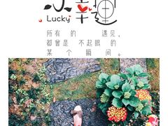 -山间农家