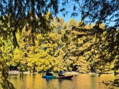 -上海海湾国家森林公园