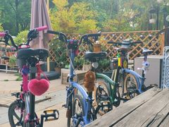 -隹木咖啡馆(宝龙广场店)