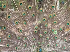 -哈尔滨北方森林动物园