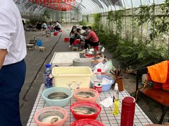-前小桔亲子创意农场·草莓采摘·露营烧烤
