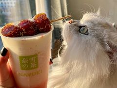 -奈雪的茶(赛格店)