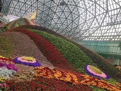 -花之城