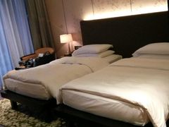 -上海崇明金茂凯悦酒店