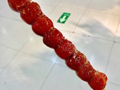无核山楂糖葫芦-和禄德冰糖葫芦