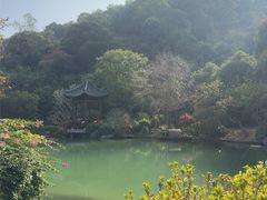 -云溪植物园