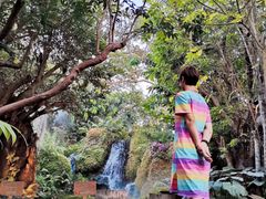 -Chom Cafe and Restaurant