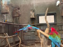 -大连森林动物园