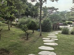 -东莞植物园