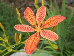 -阳台山自然风景区