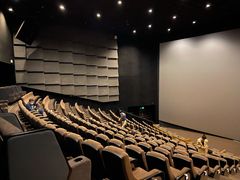 -金逸影城(影视中心IMAX店)