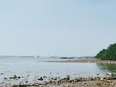 -宝安西湾红树林湿地公园
