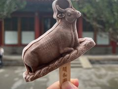 -颐和园