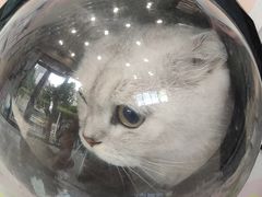-瑞鹏宠物医院·微创内窥镜·骨外科·牙科(翠竹分院)