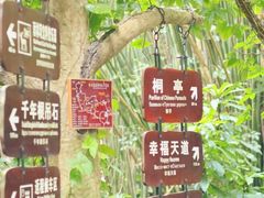 -呀诺达热带雨林