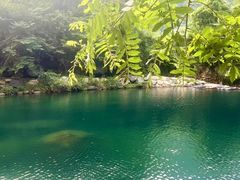 -石台牯牛降景区