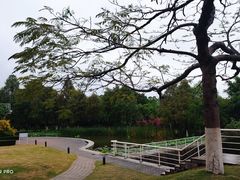 -厦门国家会计学院