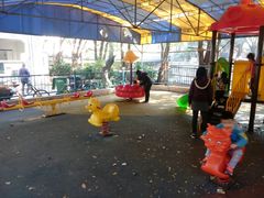 -晓港公园