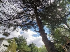 景点-白草畔自然风景区