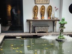 -觀芷隐轩