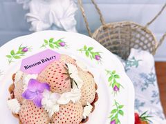 -花间烘焙BLossom Bakery