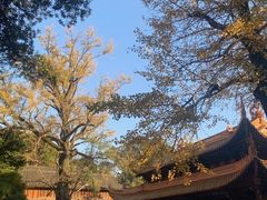 -普陀山风景名胜区-法雨禅寺