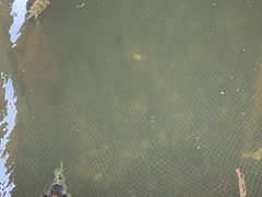 -蓝湾碧波·老字号·疍家非遗海上餐厅