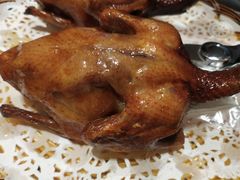 -山泉公馆酒家(珠江新城店)