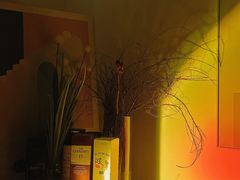 -Catail前苑(前门大街店)