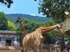 -大连森林动物园