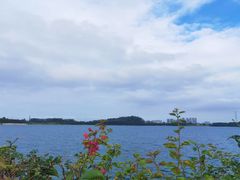 -露天矿生态公园