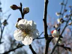 -蜀冈西峰生态公园