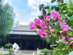 -趵突泉景区
