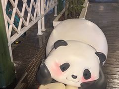 -轩客会(熊猫书店)